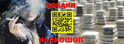 индика Усть-Джегута