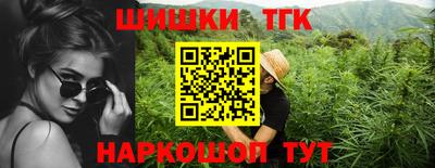индика Усть-Джегута
