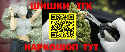 индика Усть-Джегута