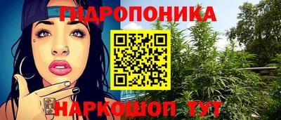 индика Усть-Джегута