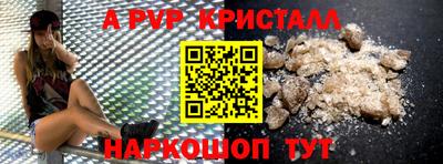 индика Усть-Джегута