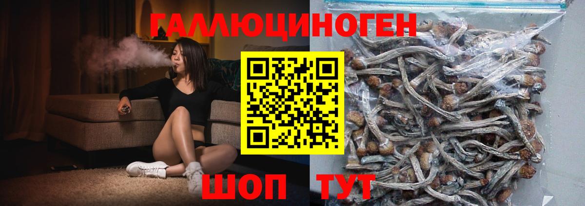 Кудымкар  Псилоцибиновые грибы MAGIC MUSHROOMS  Псилоцибиновые грибы Cubensis  Вход с VPN 
